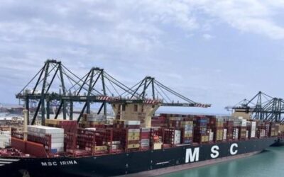 Intervienen mil kilos de cocaína a una banda que la introducía por el puerto de Valencia